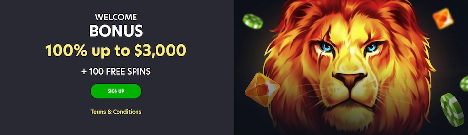 Lionspin Casino Welcome Bonus