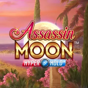 Image for Assassin moon Image