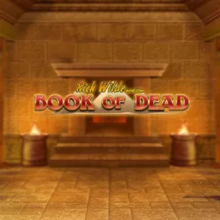 Image for Book of dead Image