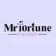 Image for Mr Fortune