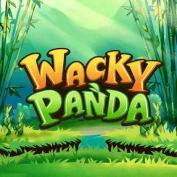 Wacky Panda Gameplay Thumbnail